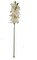 Luxurious Real Touch White Cymbidium Orchid Stem - Lifelike Artificial Flower